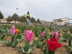 ارائه و اجرای طرح های متنوع و جدید از سوی سازمان پارک ها و فضای سبز شهرداری ارومیه در راستای شاداب سازی محوطه شهربازی ارومیه در دهکده ساحلی چیچست
